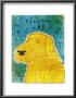 Lab (Yellow) by John Golden Limited Edition Print