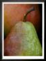 Juicy Pear by Nicole Katano Limited Edition Print