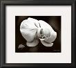 White Orchid by Harold Silverman Limited Edition Print