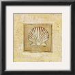 Scallop Shell by Fernando Leal Limited Edition Pricing Art Print