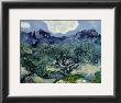 Landscape With Olive Trees by Vincent Van Gogh Limited Edition Print