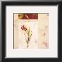 Lilas Composicion Vi by Atenea Limited Edition Print