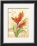 Tropical by Rian Withaar Limited Edition Pricing Art Print