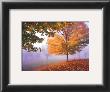 Autumn Mist by Mike Jones Limited Edition Print