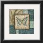 Butterfly Montage I by Chariklia Zarris Limited Edition Print
