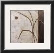 Grass Roots Ii by Ursula Salemink-Roos Limited Edition Print