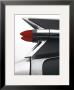 Charcoal Tailfin by Matt Mccarthy Limited Edition Print