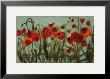 Poppyfield Ii by Karen Tusinski Limited Edition Print