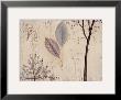 Lyrical Branches Iii by Mary Calkins Limited Edition Print