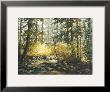 Serene Woods by Durgin Limited Edition Pricing Art Print