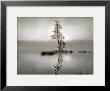 Sunrise Reflection by Dennis Frates Limited Edition Print