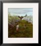 Boys Will Be Boys by Tom Sierak Limited Edition Pricing Art Print
