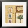 Tropical Tapestry Ii by Ann Walker Limited Edition Print