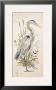 Great Blue Heron by Chad Barrett Limited Edition Pricing Art Print