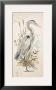 Great Blue Heron by Chad Barrett Limited Edition Print