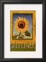 Sunflower by Thomas Laduke Limited Edition Print
