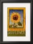 Sunflower by Thomas Laduke Limited Edition Pricing Art Print