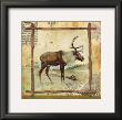 Elk Nature by Walter Robertson Limited Edition Print