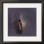 Solitary Ii by Lizette Luijten-Daas Limited Edition Print