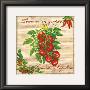 Tomates En Grappe by Noel Romero Limited Edition Pricing Art Print