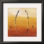 Universal Vibration X by Carole Becam Limited Edition Print