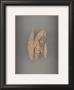 Assemblage No. 84 by John Watson Limited Edition Print