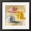 Shells Ii by Dale Payson Limited Edition Print