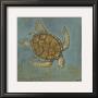 Sea Turtle I by Norman Wyatt Jr. Limited Edition Print