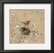 Wren And Magnolia by Jill Schultz Mcgannon Limited Edition Print
