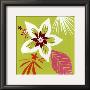 Vert Fleur Blanche by Olivia Cosneau Limited Edition Print