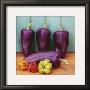 Les Piments by Linda Burgess Limited Edition Print