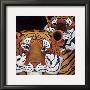 Sun Tigers by Lisa Benoudiz Limited Edition Print