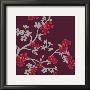 Cherry Tree Branch by Adeline Bec Limited Edition Print
