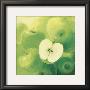 Apples by Inna Panasenko Limited Edition Pricing Art Print