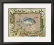 Blue-Gilled Sunfish by Anita Phillips Limited Edition Pricing Art Print