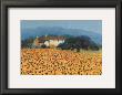 Farm Near Sienna by Hazel Barker Limited Edition Print