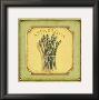 Asparagus by Daphne Brissonnet Limited Edition Print