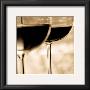 Vino Tinto I by Jean-Franã§Ois Dupuis Limited Edition Print