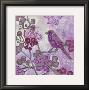 Plum Song Ii by Kate Birch Limited Edition Print