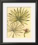 Reminiscence Iv by Jarman Fagalde Limited Edition Pricing Art Print