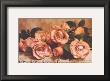 Dusty Rose by Julie Greenwood Limited Edition Print