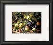 Country Still Life I by Oliver Clare Limited Edition Pricing Art Print