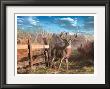 Back Forty Buck by Kevin Daniel Limited Edition Pricing Art Print