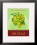 Shiraz by Pamela Gladding Limited Edition Pricing Art Print