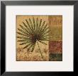 Palmera I by Daphne Brissonnet Limited Edition Pricing Art Print