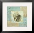 Sea Finds I by Lisa Audit Limited Edition Print