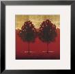 Hot Red by Sabrina Roscino Limited Edition Print