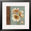 Windflower I by Daphne Brissonnet Limited Edition Pricing Art Print