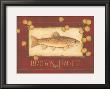 Brown Trout by Stephanie Marrott Limited Edition Pricing Art Print