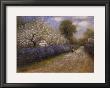 Blosson Lane by Jon Mcnaughton Limited Edition Print